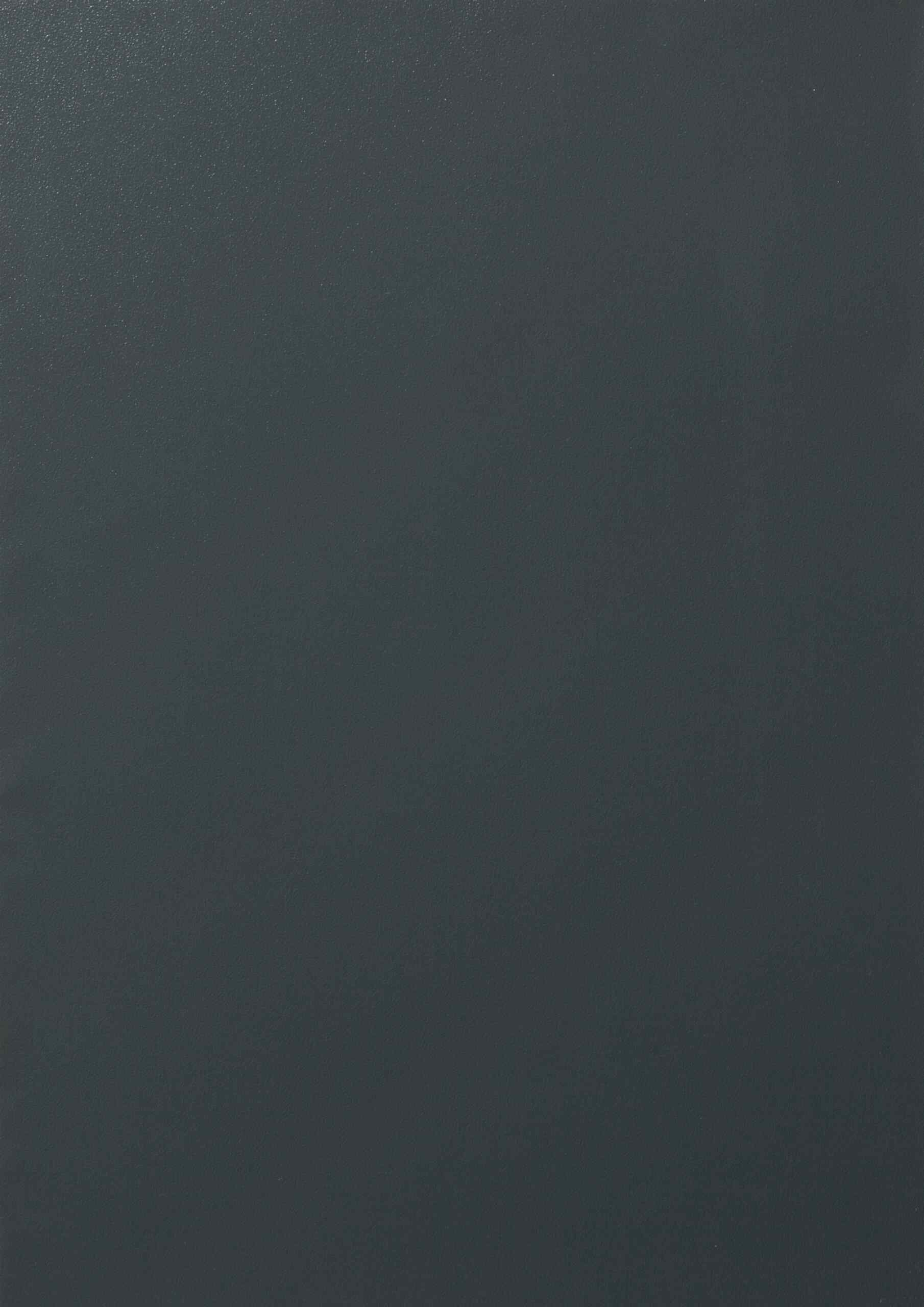 Anthracite Grey 02.20.71.000001 – 808300